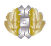 jaglogo3.jpg